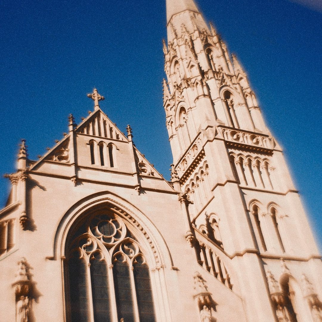 Schenley Park Walk, photograph 18