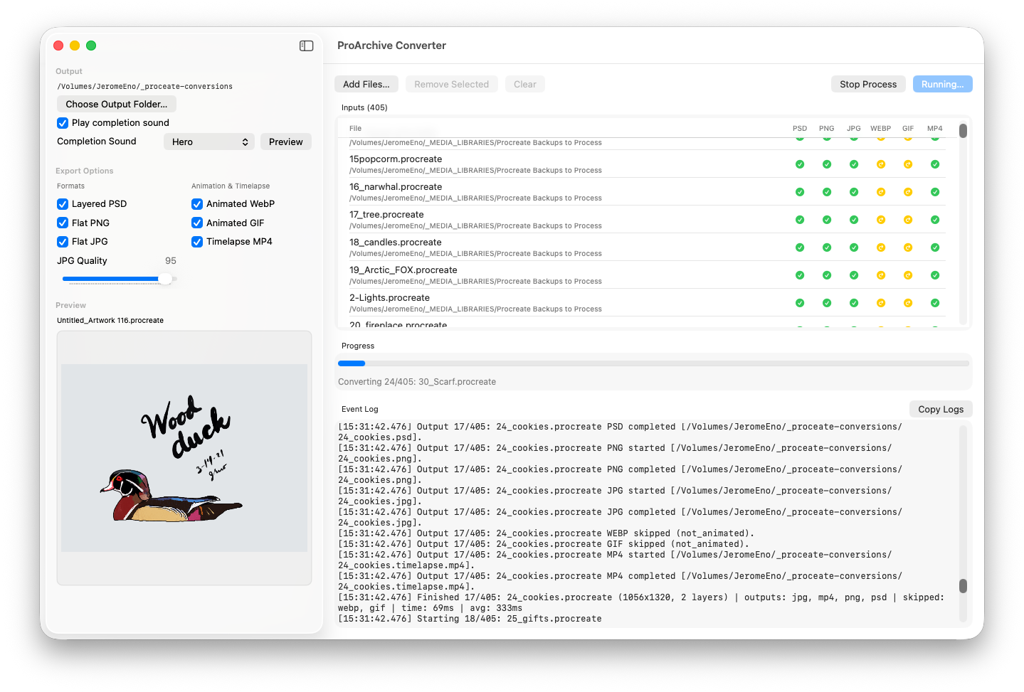 ProArchive Converter batch window with output formats and a drawing preview