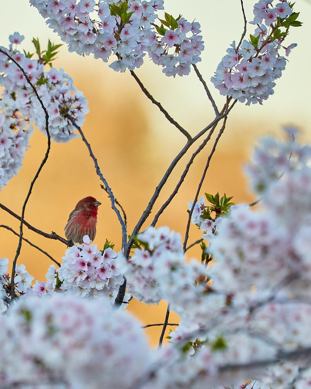 Wildlife, photograph 124