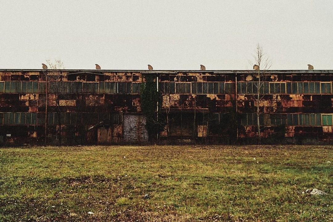 Camp Snap, photograph 10