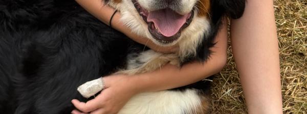 They Are Handled With Love From the Very Beginning Happy dogs