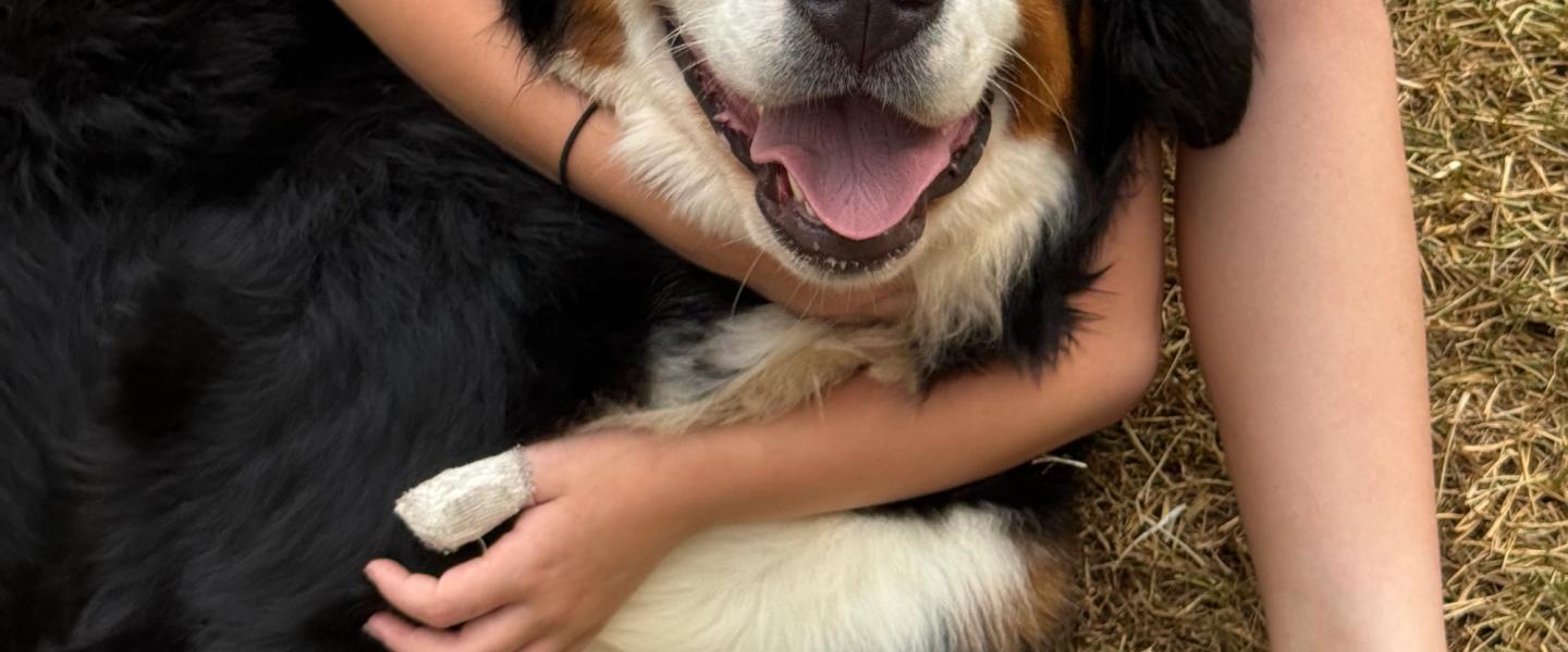 They Are Handled With Love From the Very Beginning Happy dogs