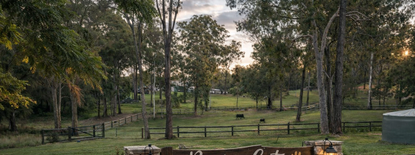 Meet Angie & Cam from Bear-y Cute Bernedoodles - ethical Bernedoodle breeders in Brisbane, QLD. Learn why we're passionate about raising healthy, family-raised puppies.