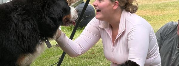Mountain Dog, with a puppy lying on the grass nearby.