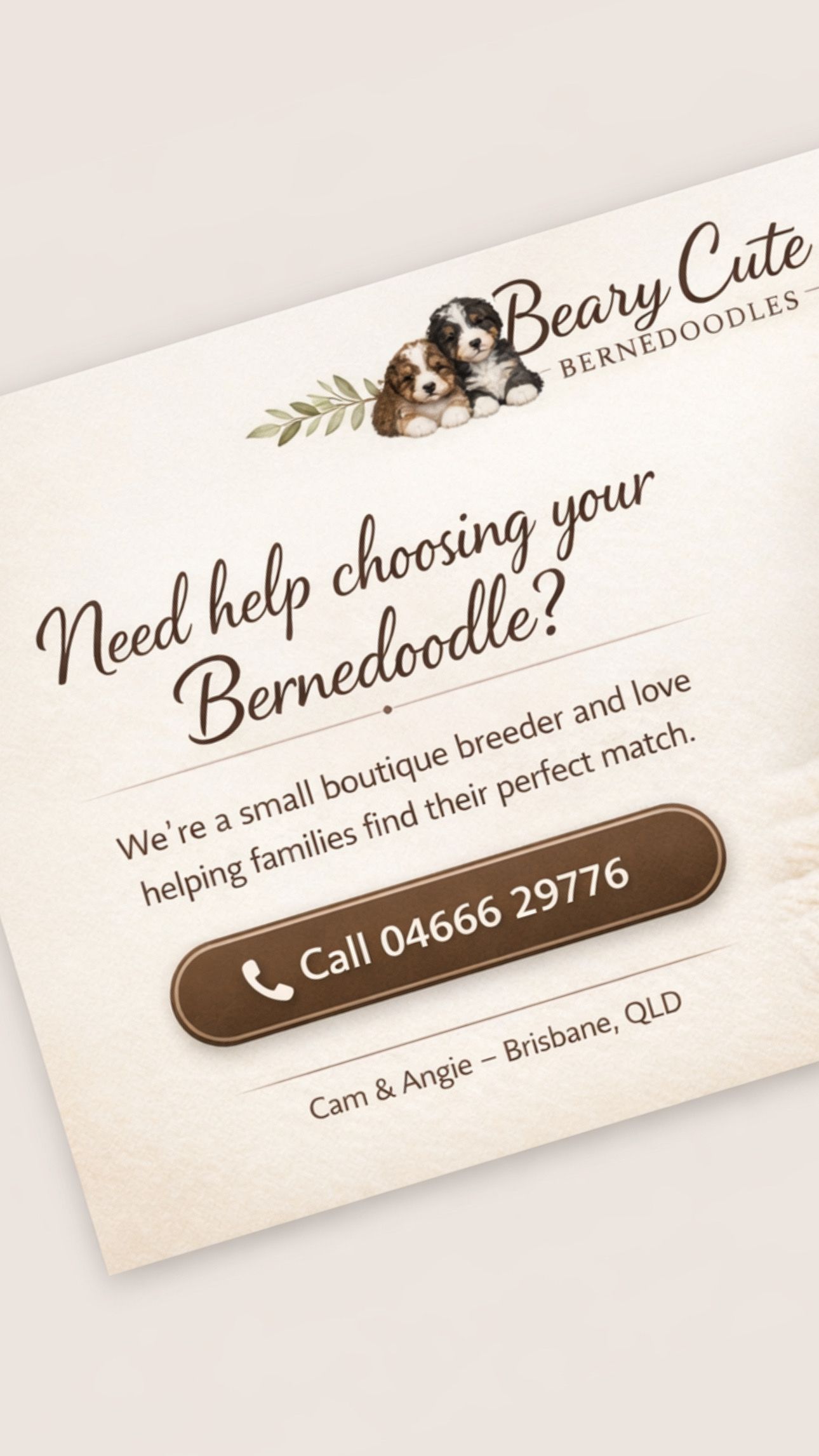  "Need help choosing your Bernedoodle? Contact Bear-y Cute Bernedoodles