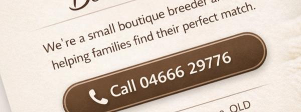 "Need help choosing your Bernedoodle? Contact Bear-y Cute Bernedoodles