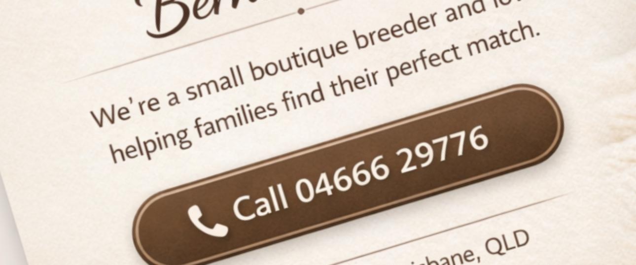 "Need help choosing your Bernedoodle? Contact Bear-y Cute Bernedoodles