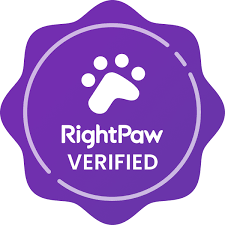 Learn how to apply for a Bernedoodle puppy through RightPaw and what to expect from our application process.