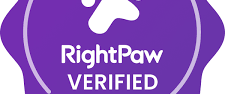 Learn how to apply for a Bernedoodle puppy through RightPaw and what to expect from our application process.