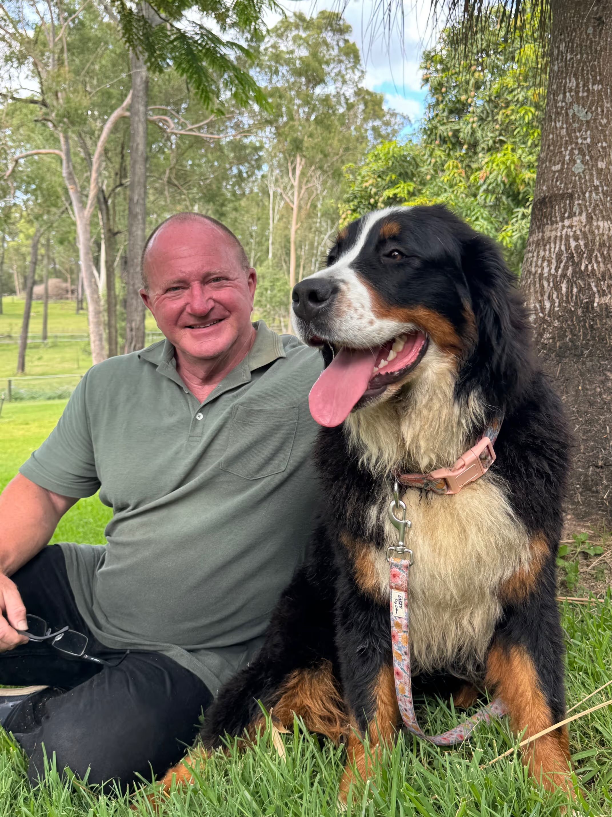 Passionate bernedoodle breeders in Australia 