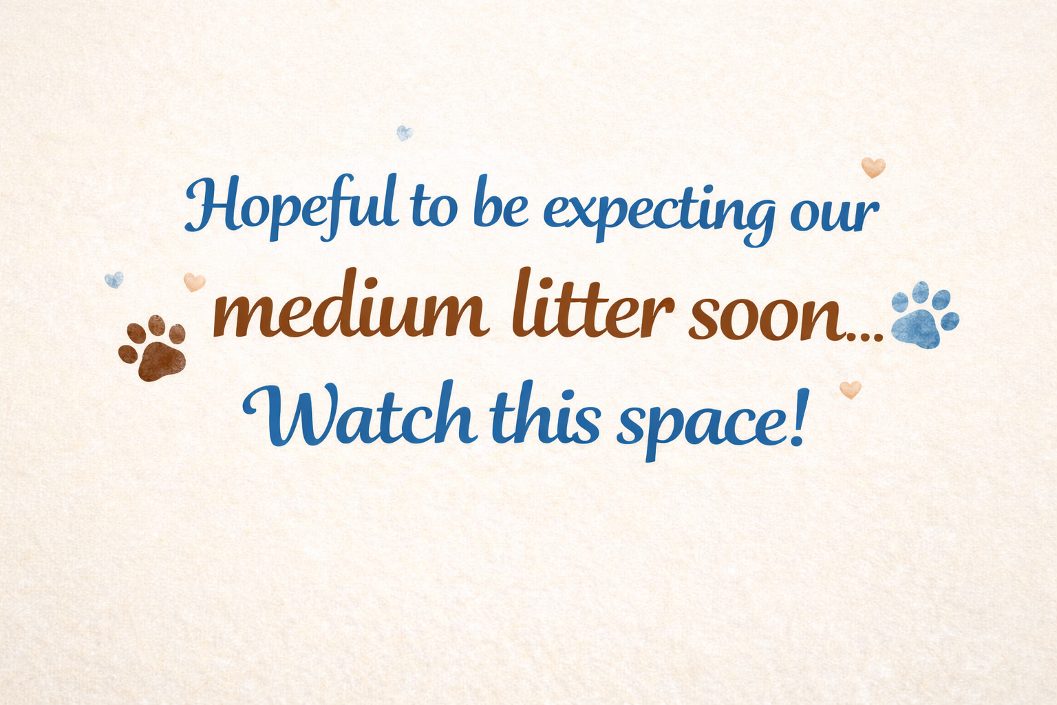 Text on a textured background says: "Hopeful to be expecting our medium litter soon... Watch this space!", decorated with small hearts and paw prints.