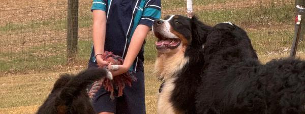 Are bernedoodles good with children?