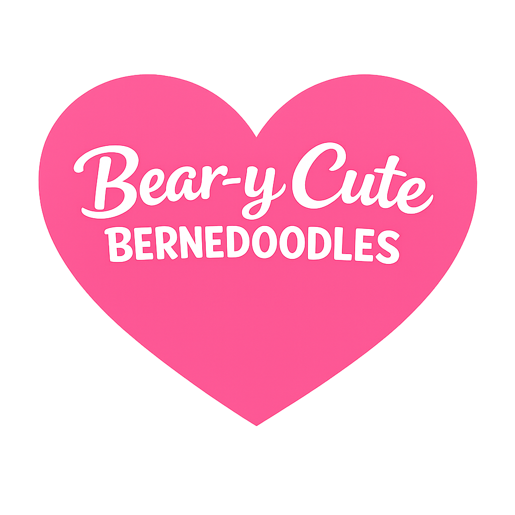 Bernedoodles, ethical breeder, bernedoodle puppies