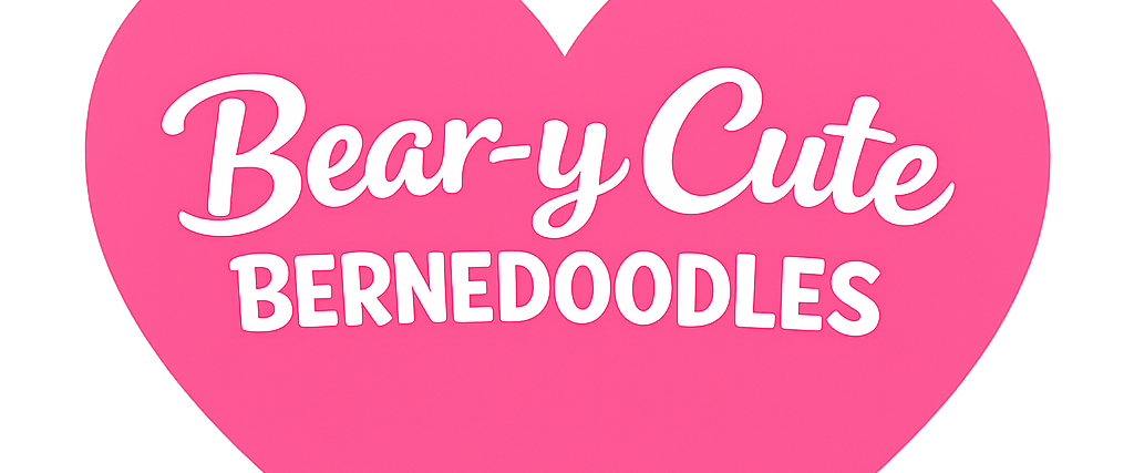 Bernedoodles, ethical breeder, bernedoodle puppies