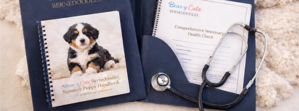 Bear-y Cute Bernedoodles puppy welcome folder and handbook Australia