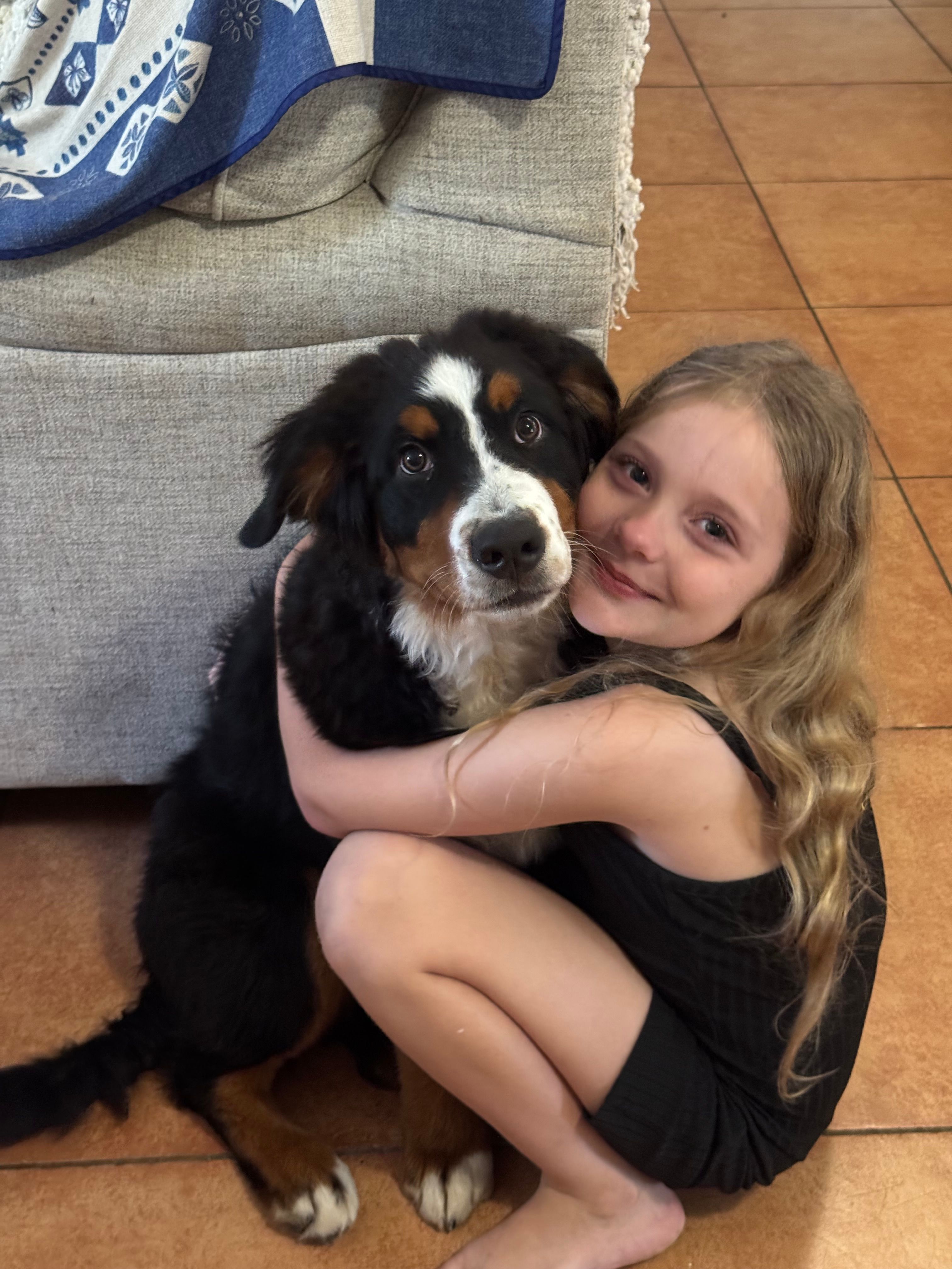 Life With Our Bernedoodles: A Real Look Inside Our Home