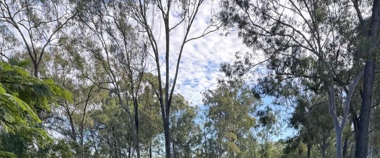 Bernedoodle puppies for sale Brisbane, Bernedoodle breeder Brisbane, Bernedoodle puppies Queensland, family-friendly dogs, low-shedding puppies, Bernedoodle puppies Australia.