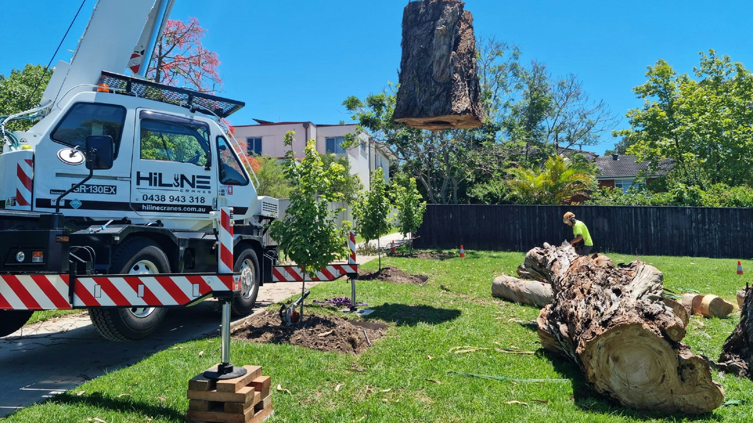 crane tree removal