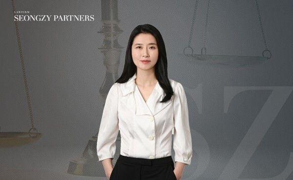 위자료 청구 소송, 유책 배우자 또는 제3자에게 손해배상 제기할 수 있어