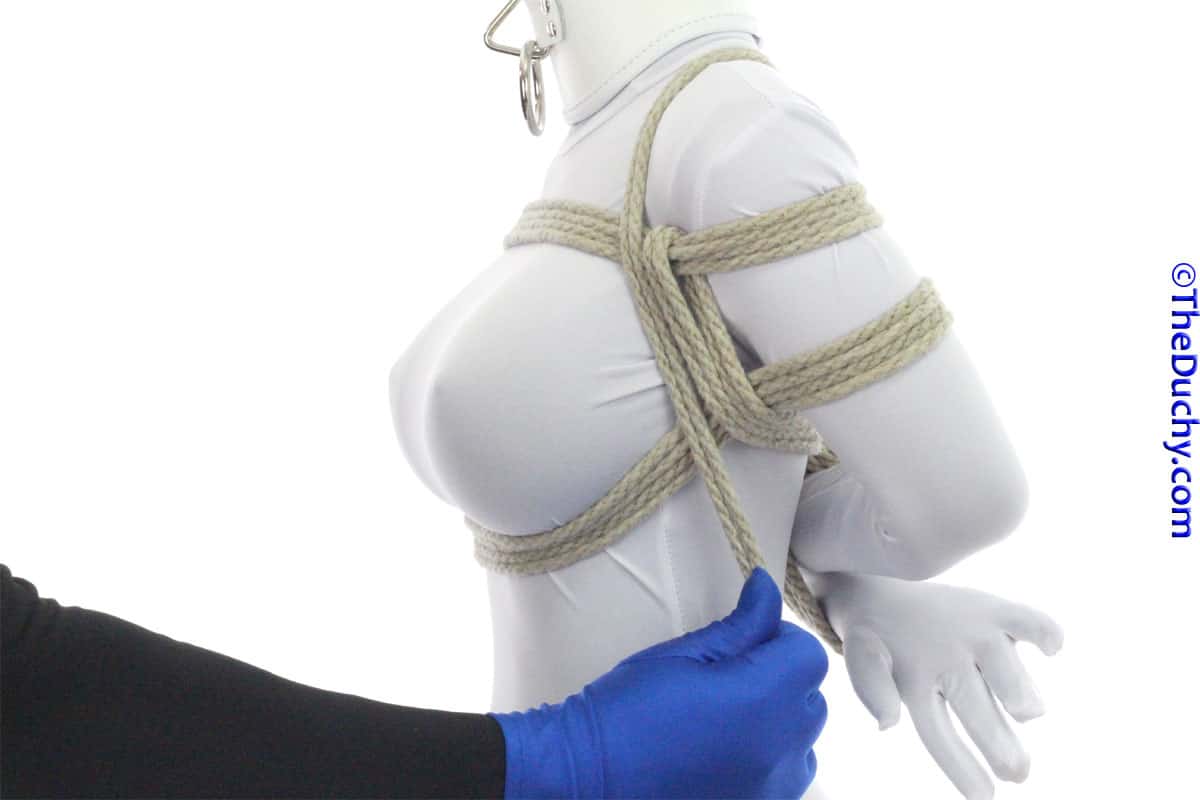 Step 10