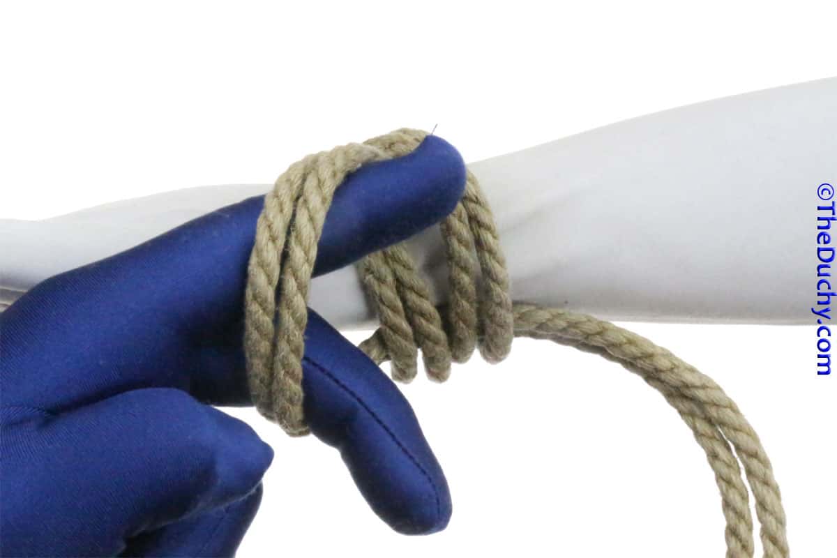 Step 12