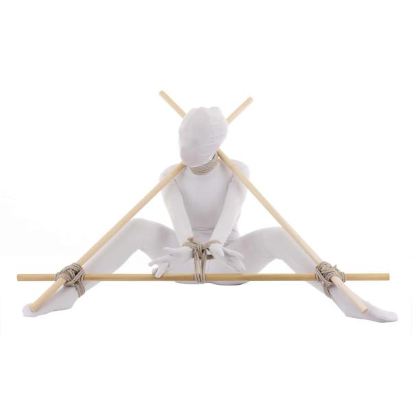Bamboo Bondage - Frames