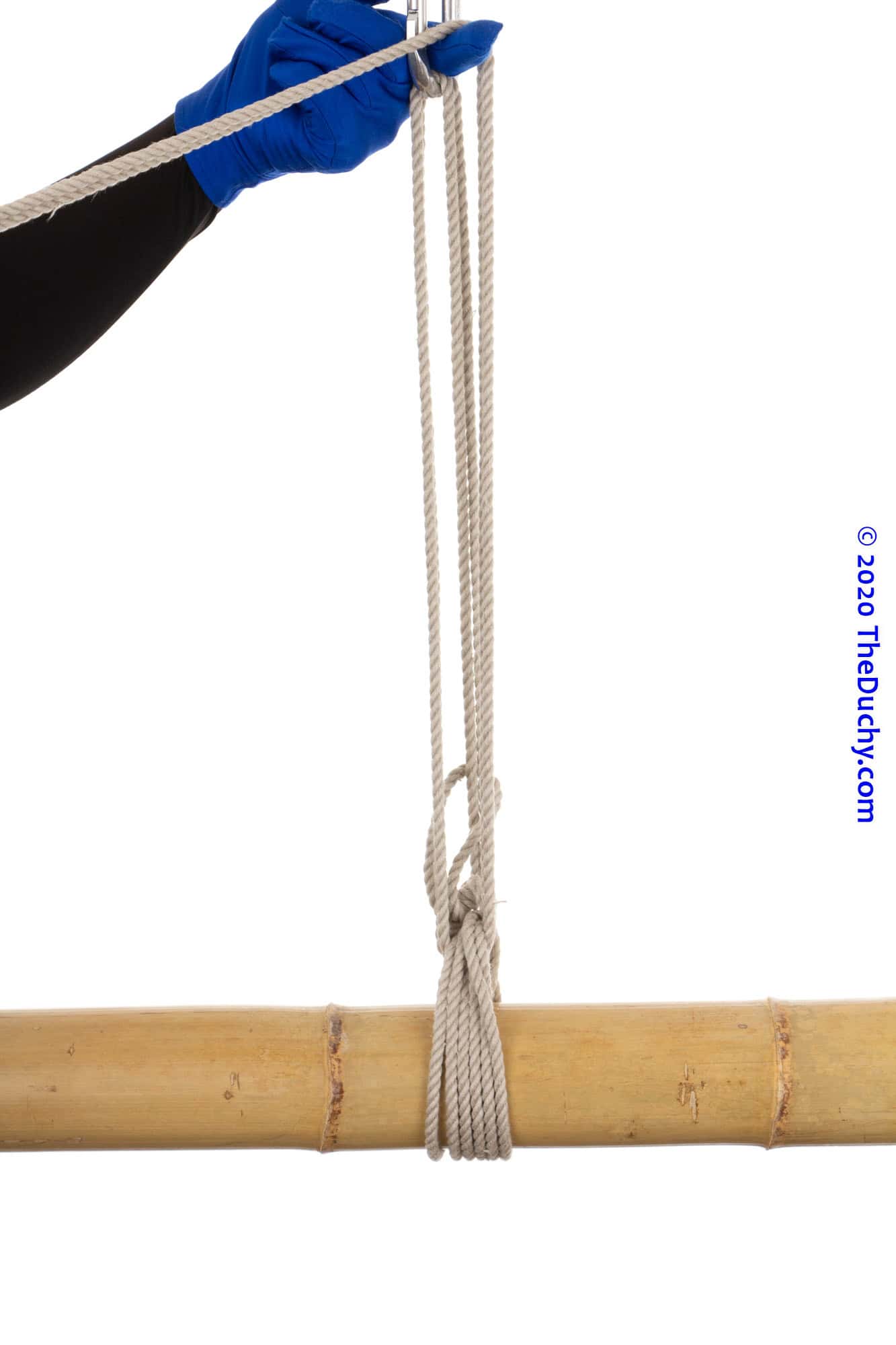 Step 7