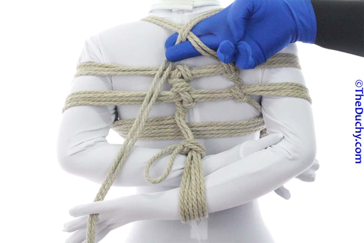 Step 15
