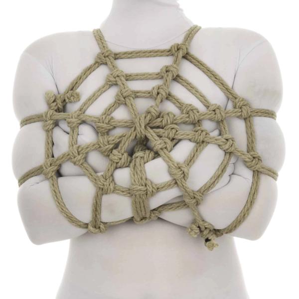 Spider Web - Core