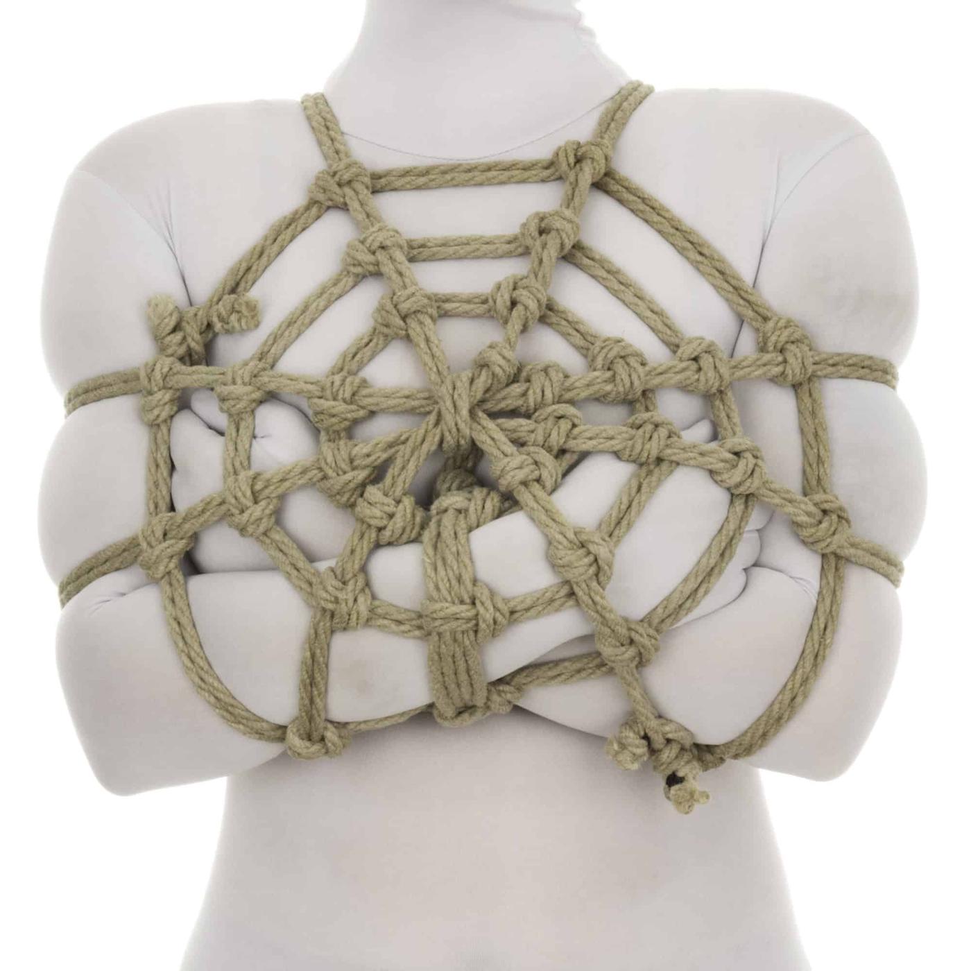 Spider Web – Core