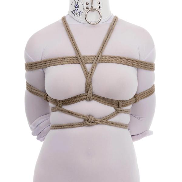 The Zander Ending for Gote Shibari (TK)