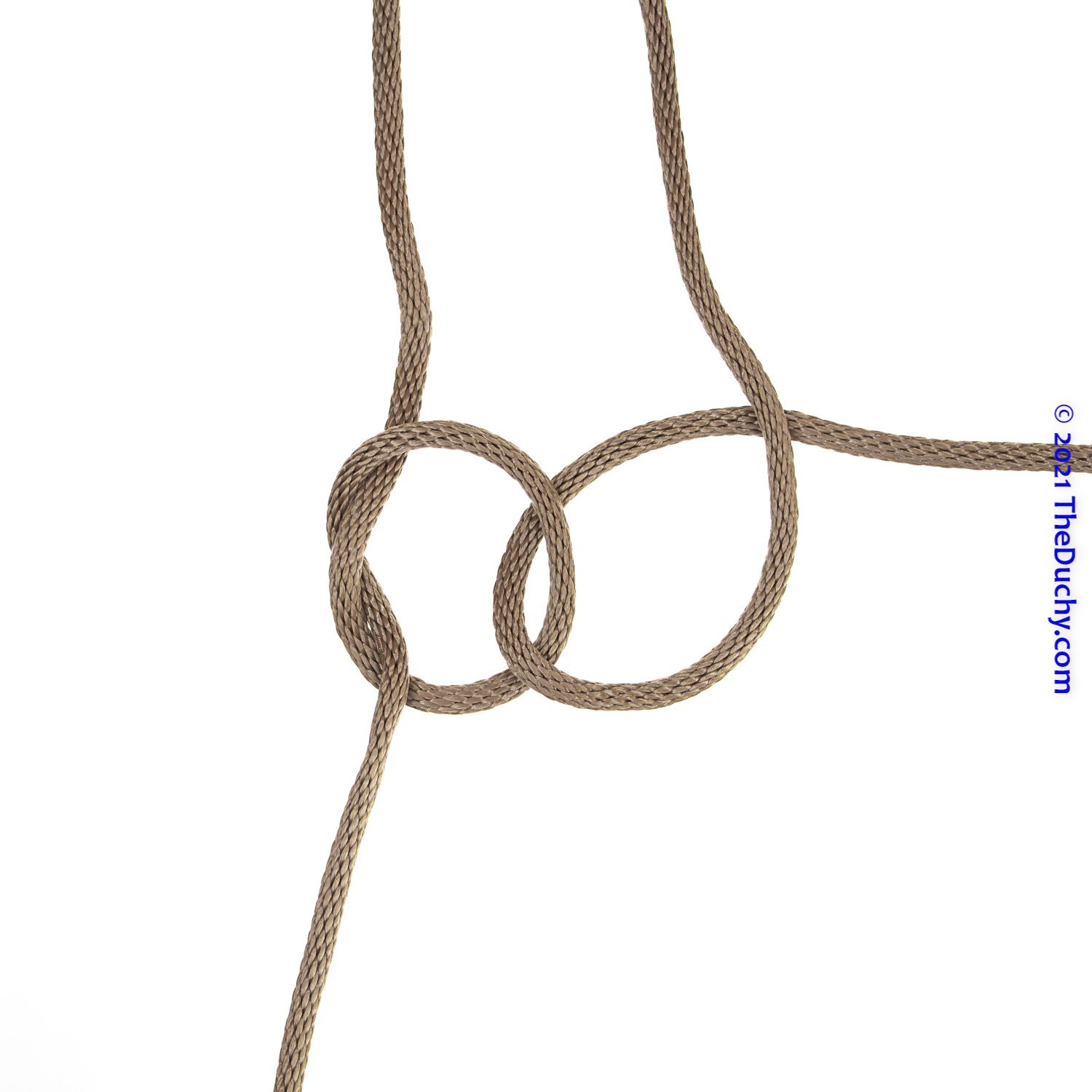 Step 7
