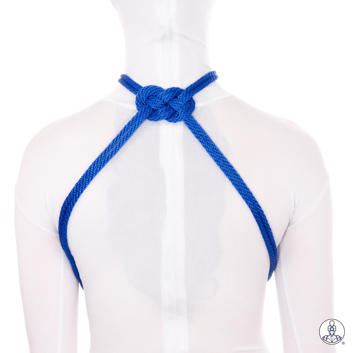 Ornamental Choker (2)