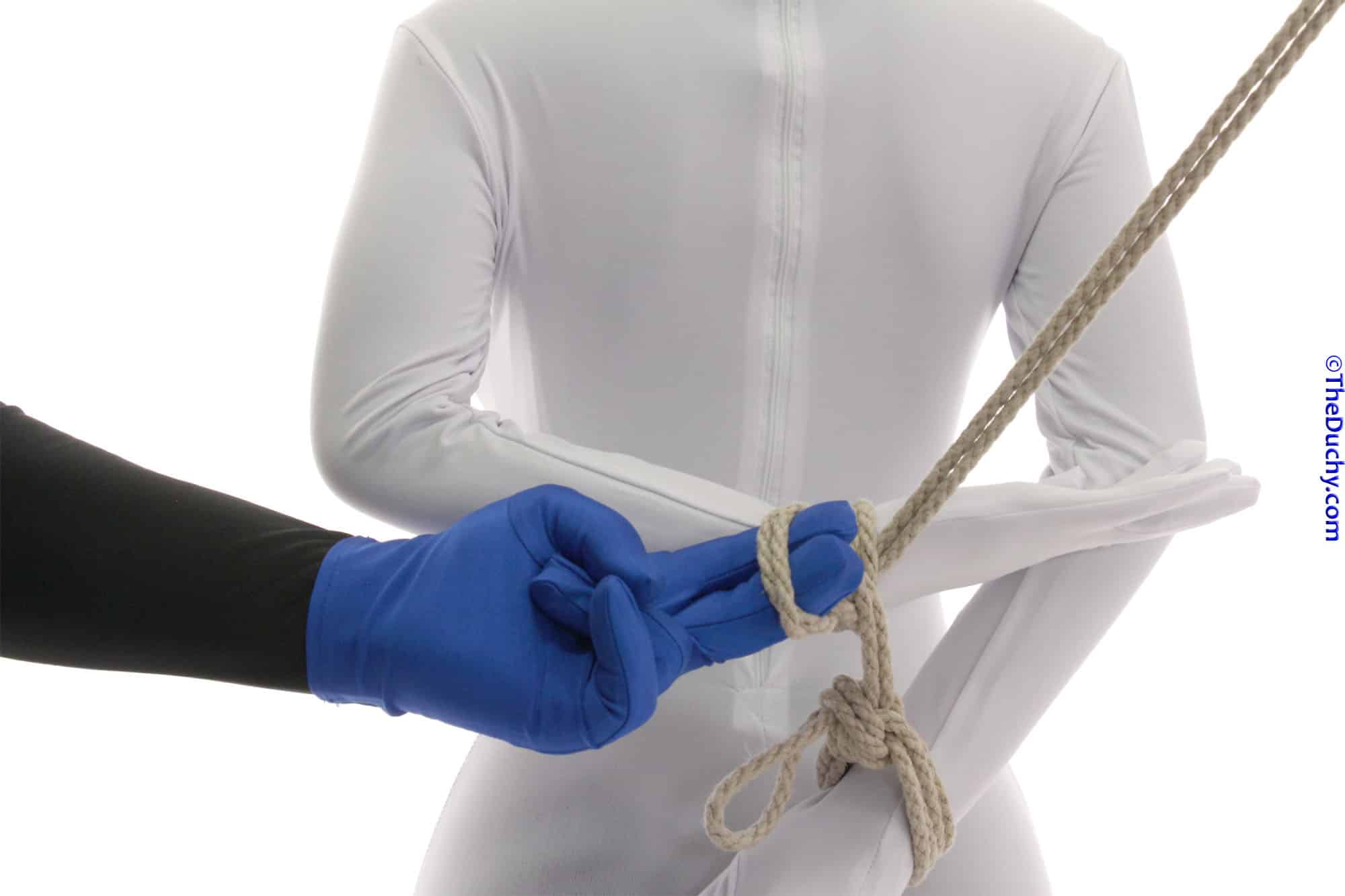 Step 9