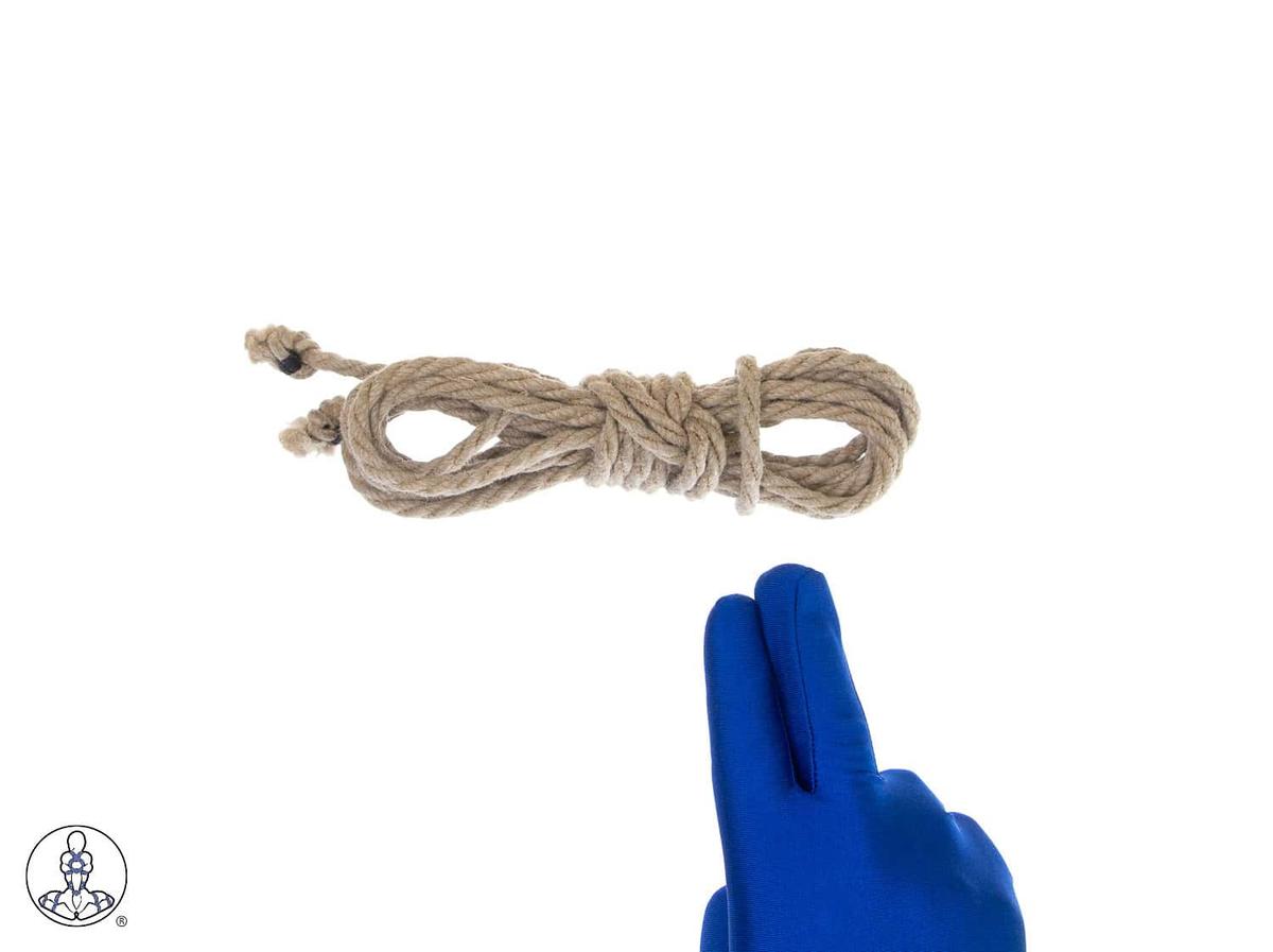 Step 6