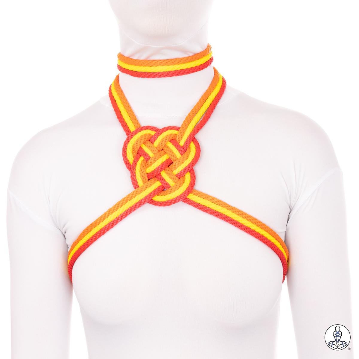 Trefoil Medallion - Choker - Multicolor (1)