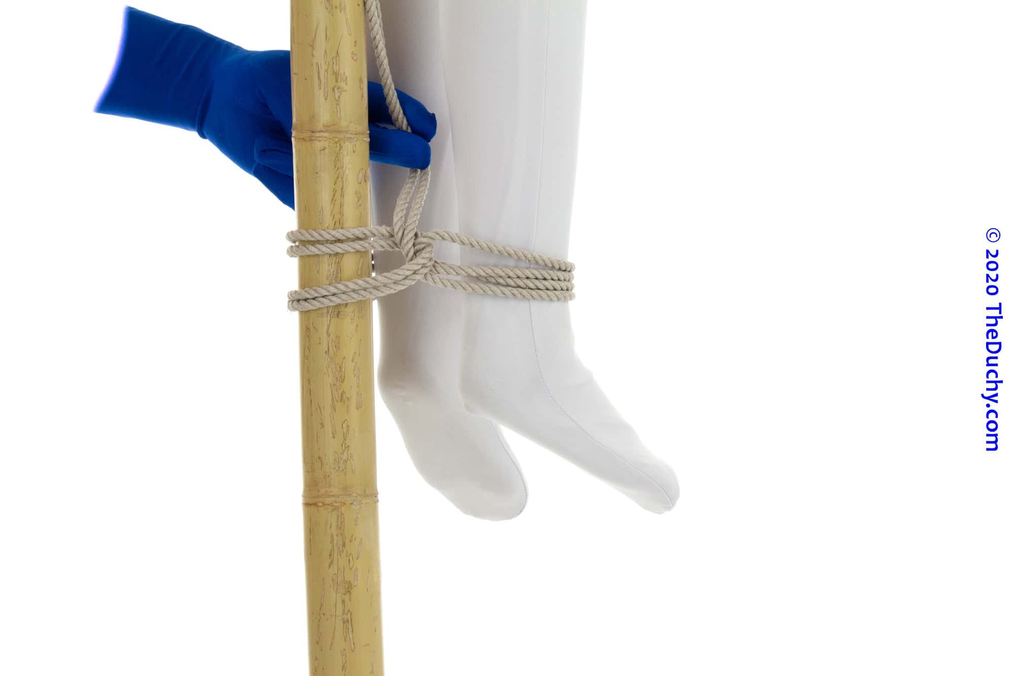 Step 6