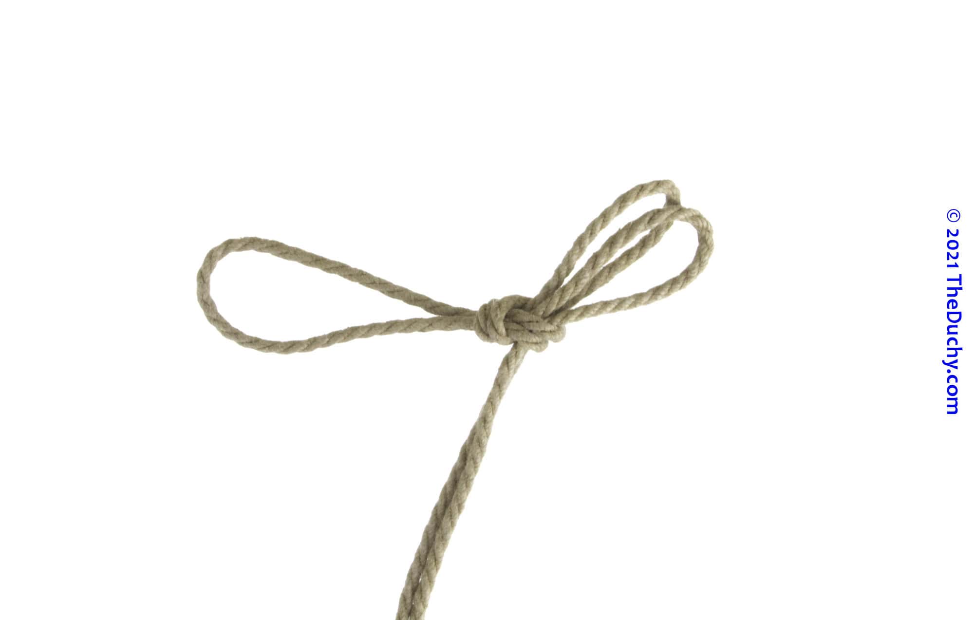 Step 6