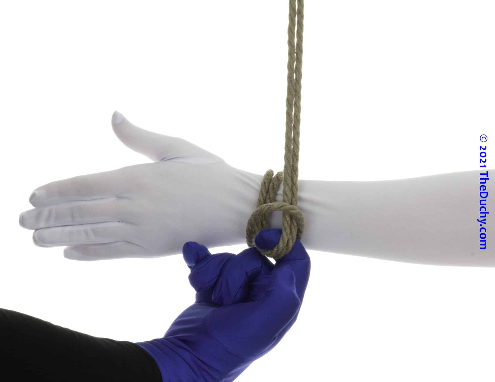 Step 5