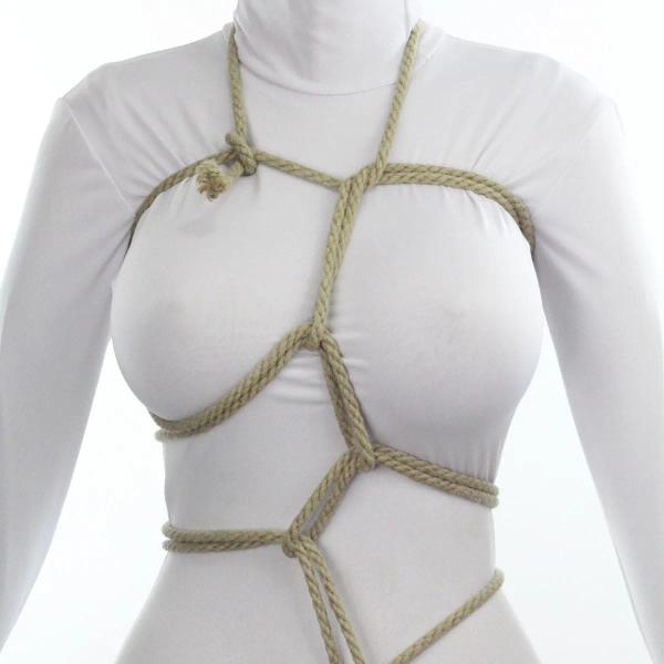 Lightning Harness