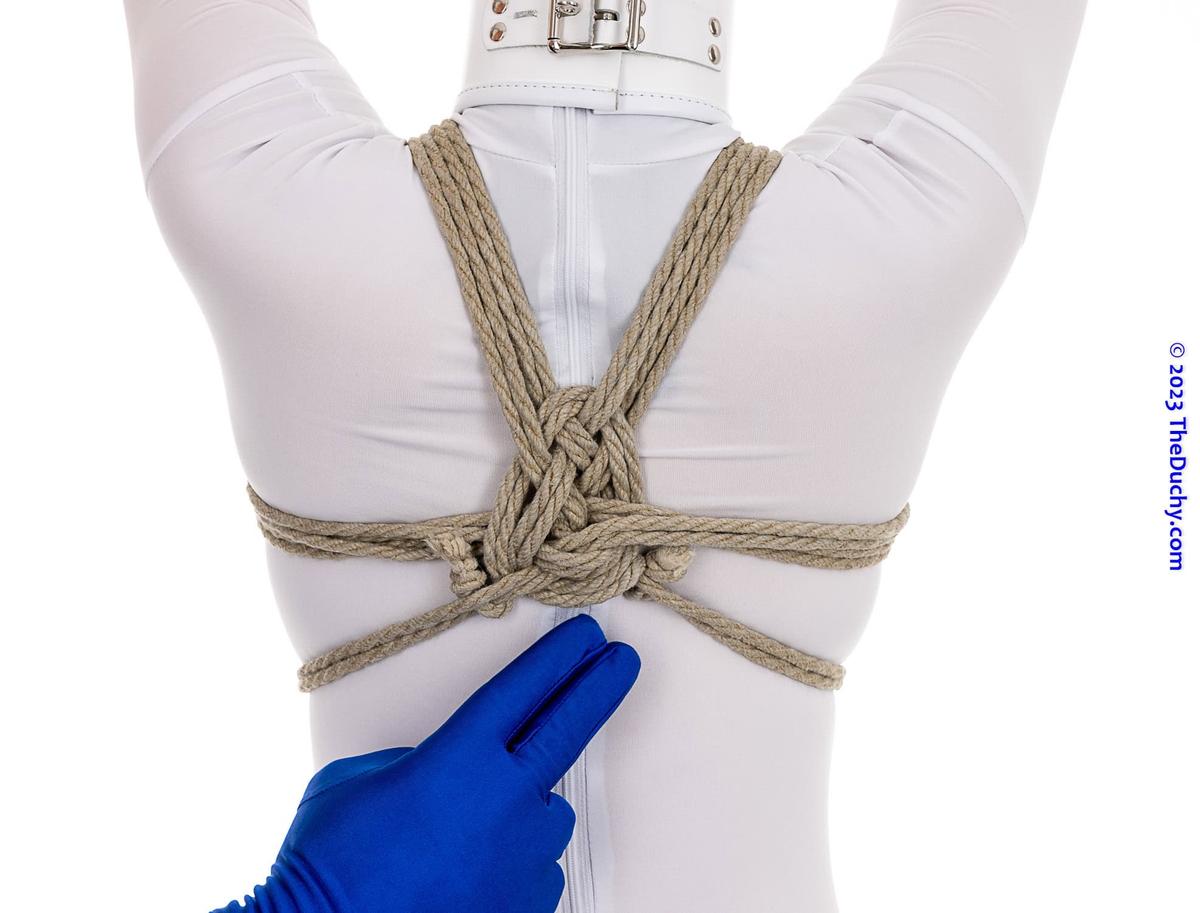Pentagram Harness v2 (40)