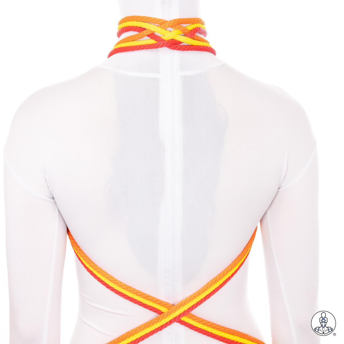 Trefoil Medallion - Choker - Multicolor (3)