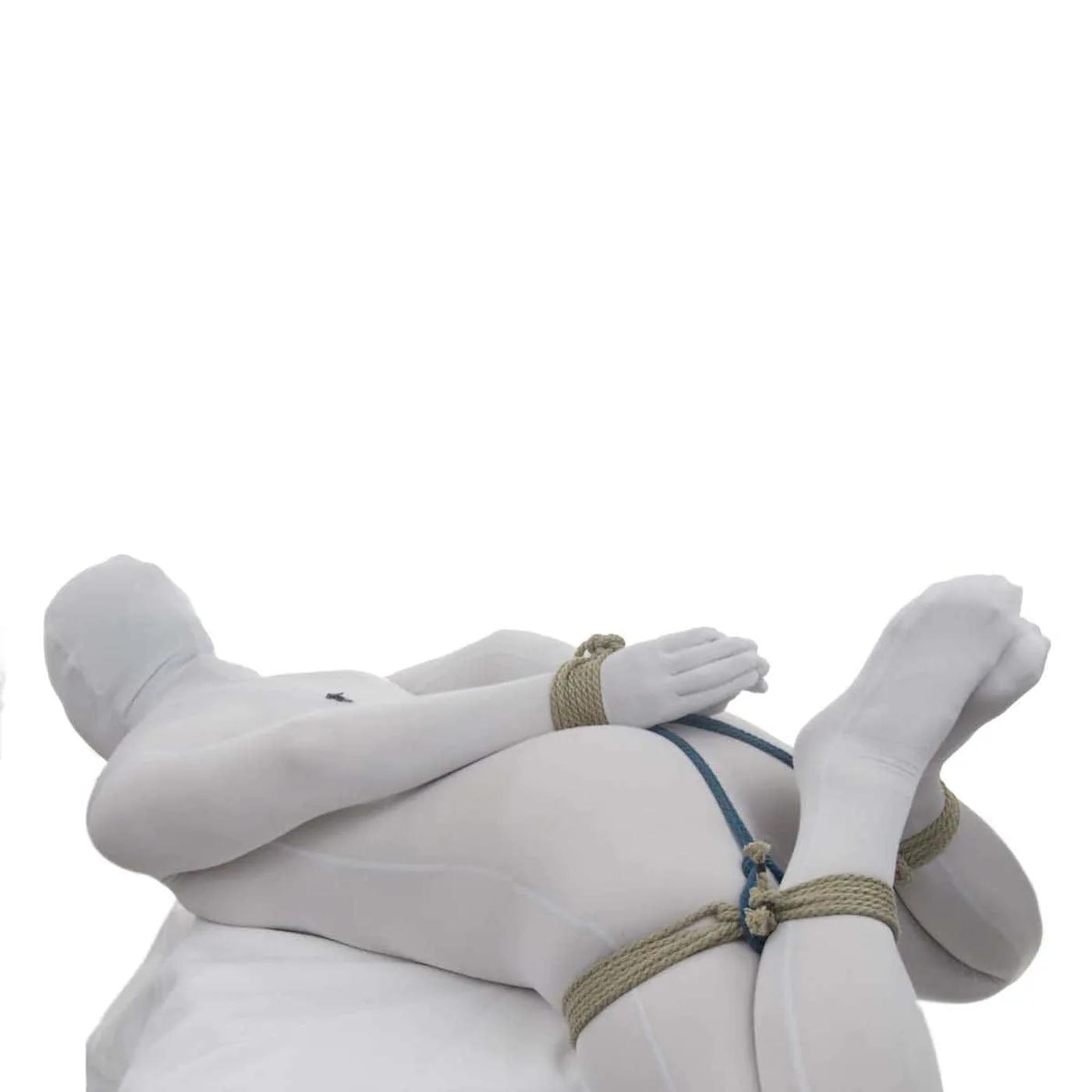 Accessible-Hog-Tie