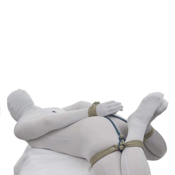 Hog Tie (Accessible)