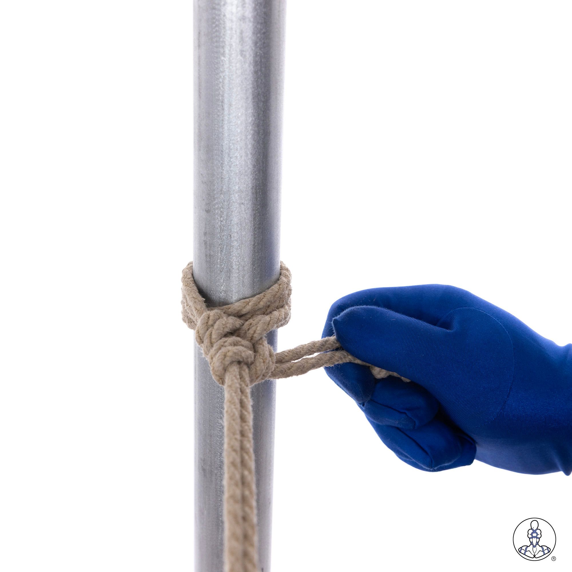 Step 10