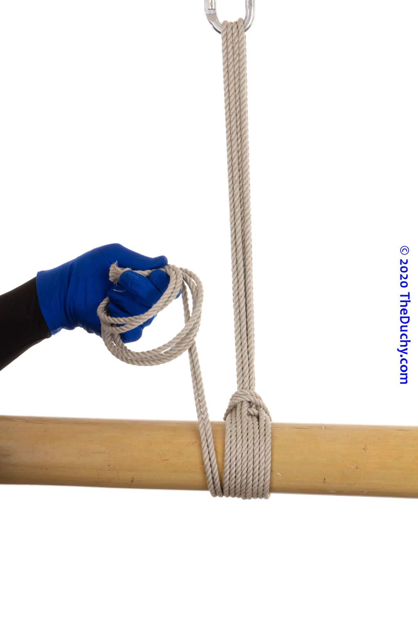 Step 12