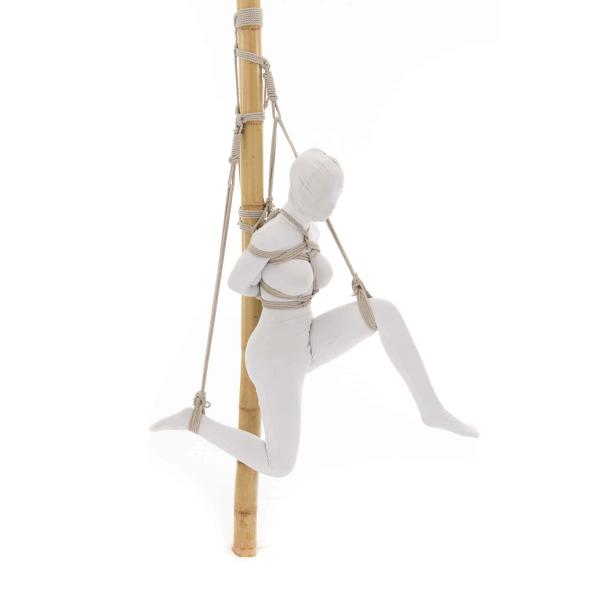 Intro To Hashira Shibari