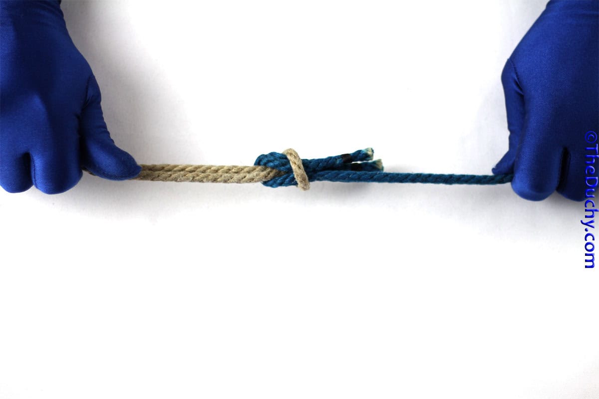 Step 7