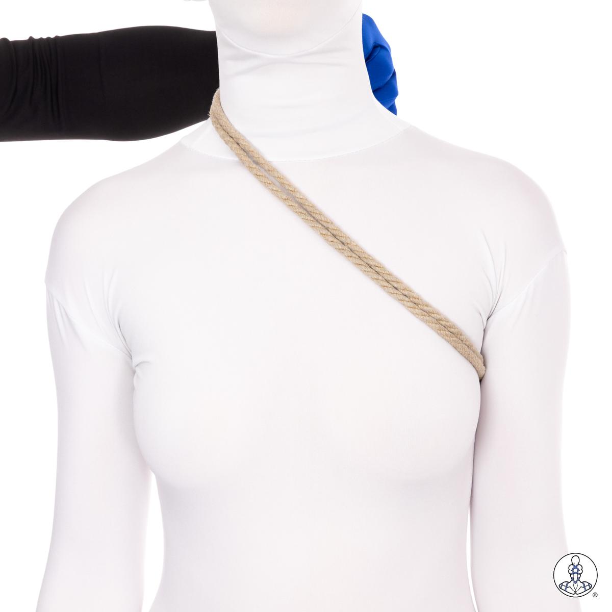 Beginning 3 - In-Line Halter or Choker (2)