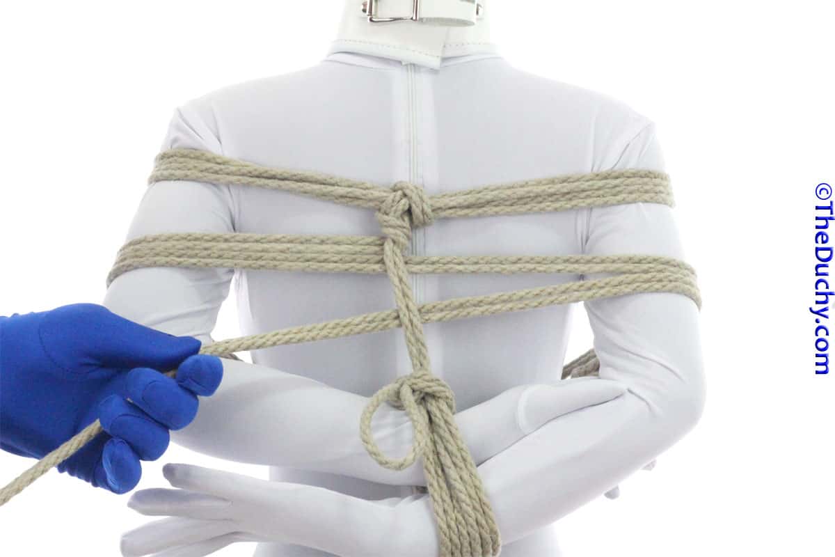 Step 12